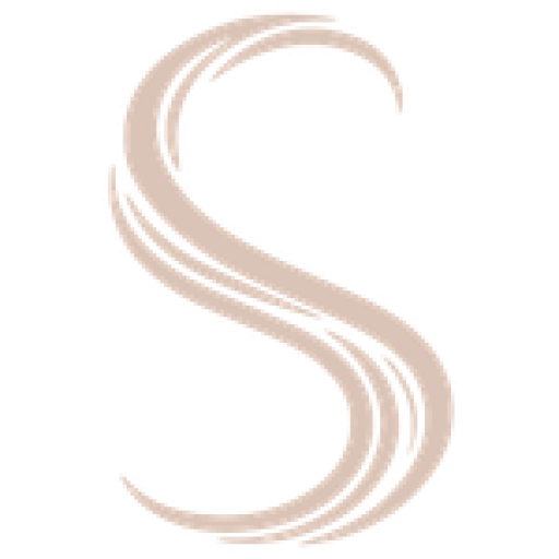 Favicon van Silon in Sneek